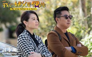 继父电视剧,爱与救赎的交织